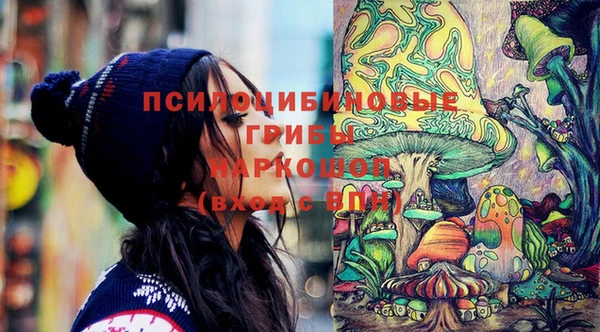 соль ск Вязьма