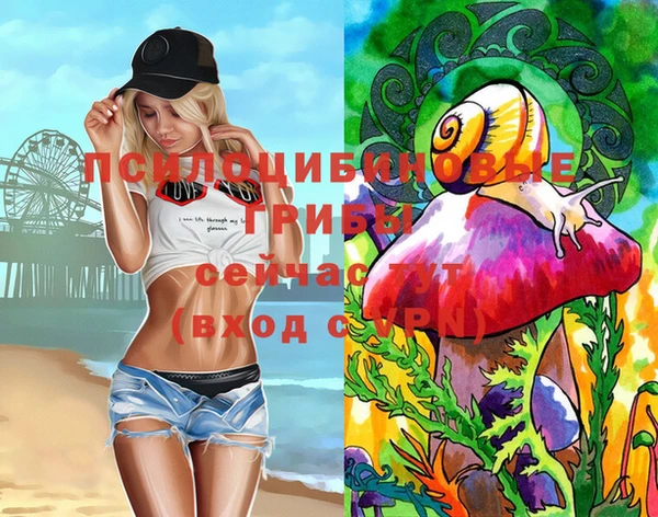 соль ск Вязьма