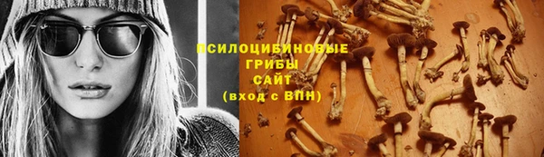 соль ск Вязьма